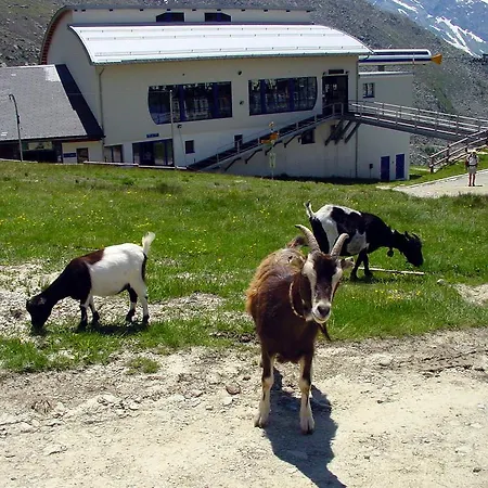 Haus Heimeli Appartement Saas-Grund